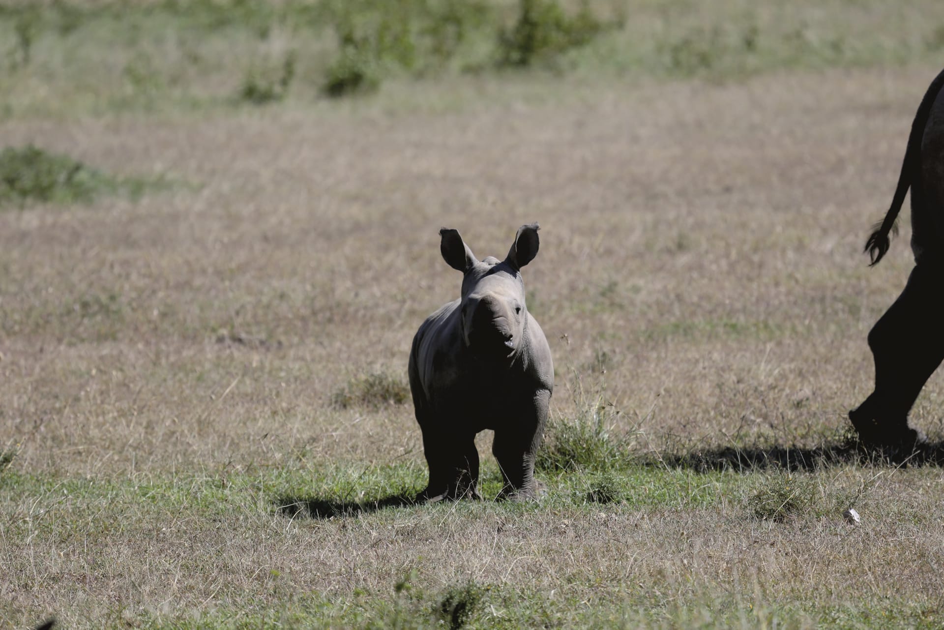 TAZ_REG_044_20170719_DIA