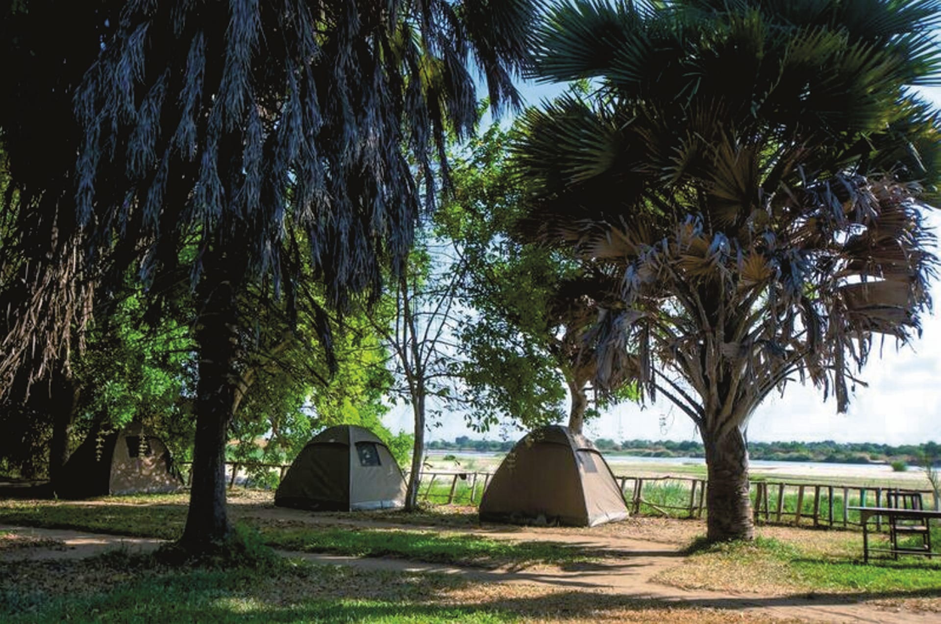 TAZ_REG_059_20170725_DIA