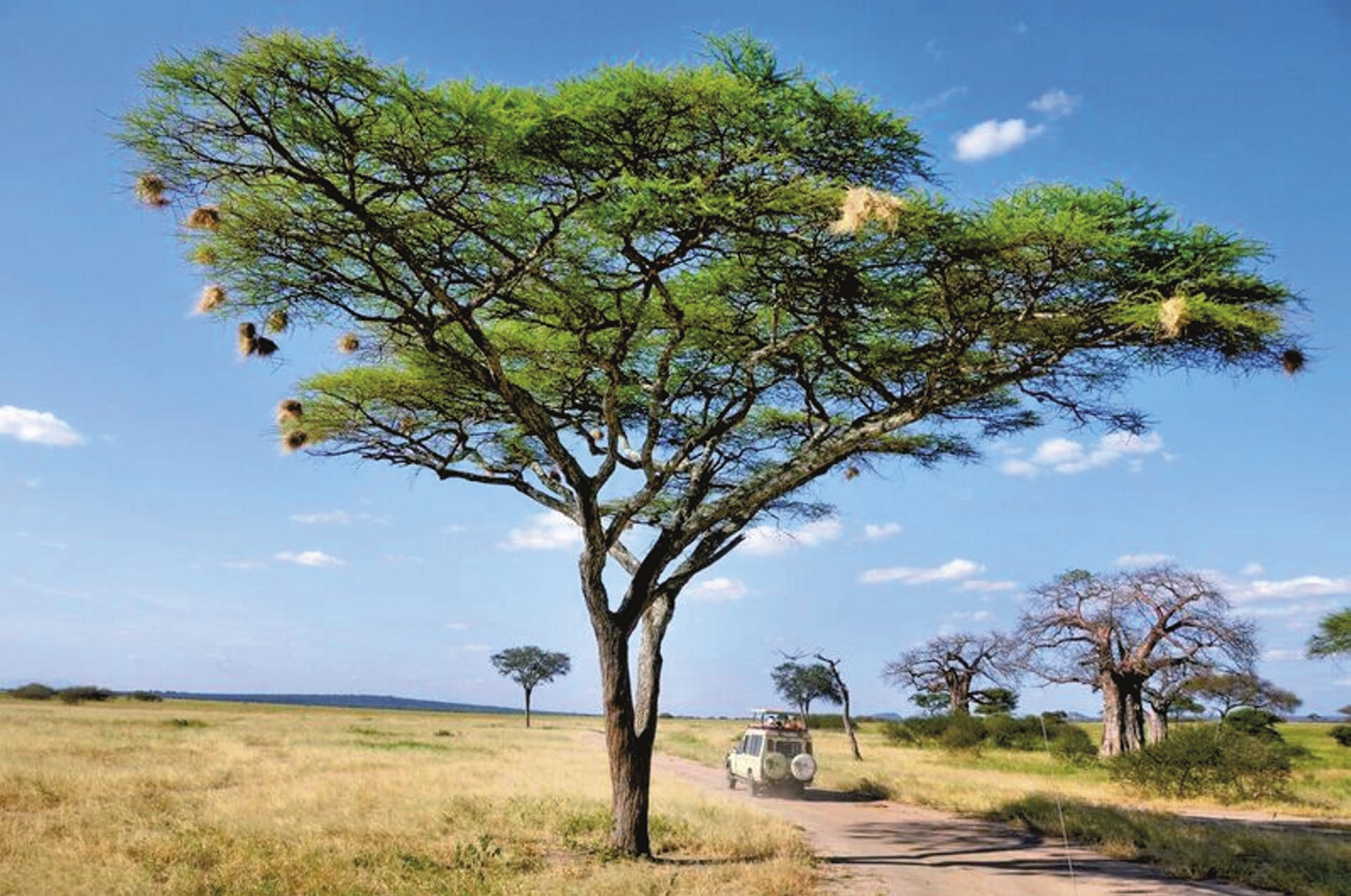 TAZ_REG_061_20170725_DIA