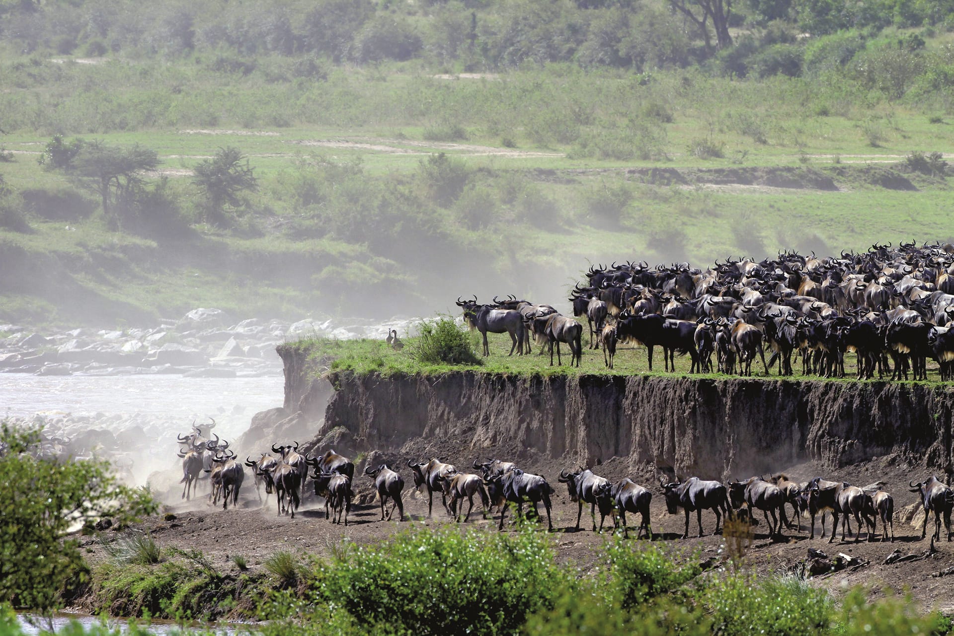 TAZ_REG_185_20150616_DIA