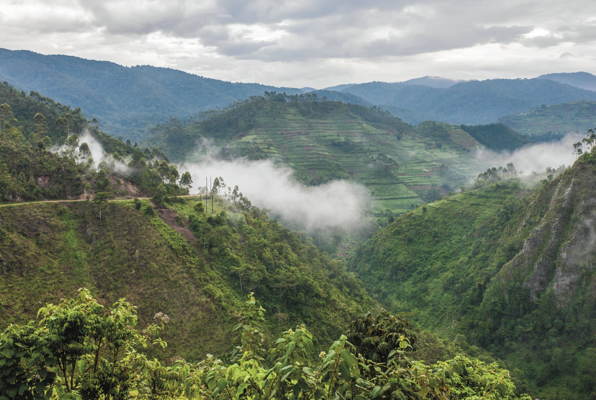 UGA_REG_006_20161108_IvB