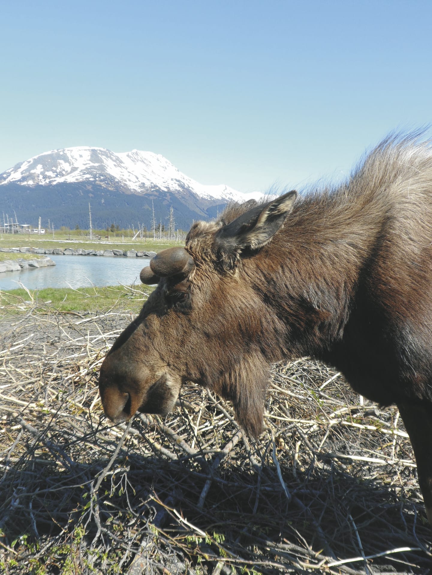 USA_AK_20190711_JB_17