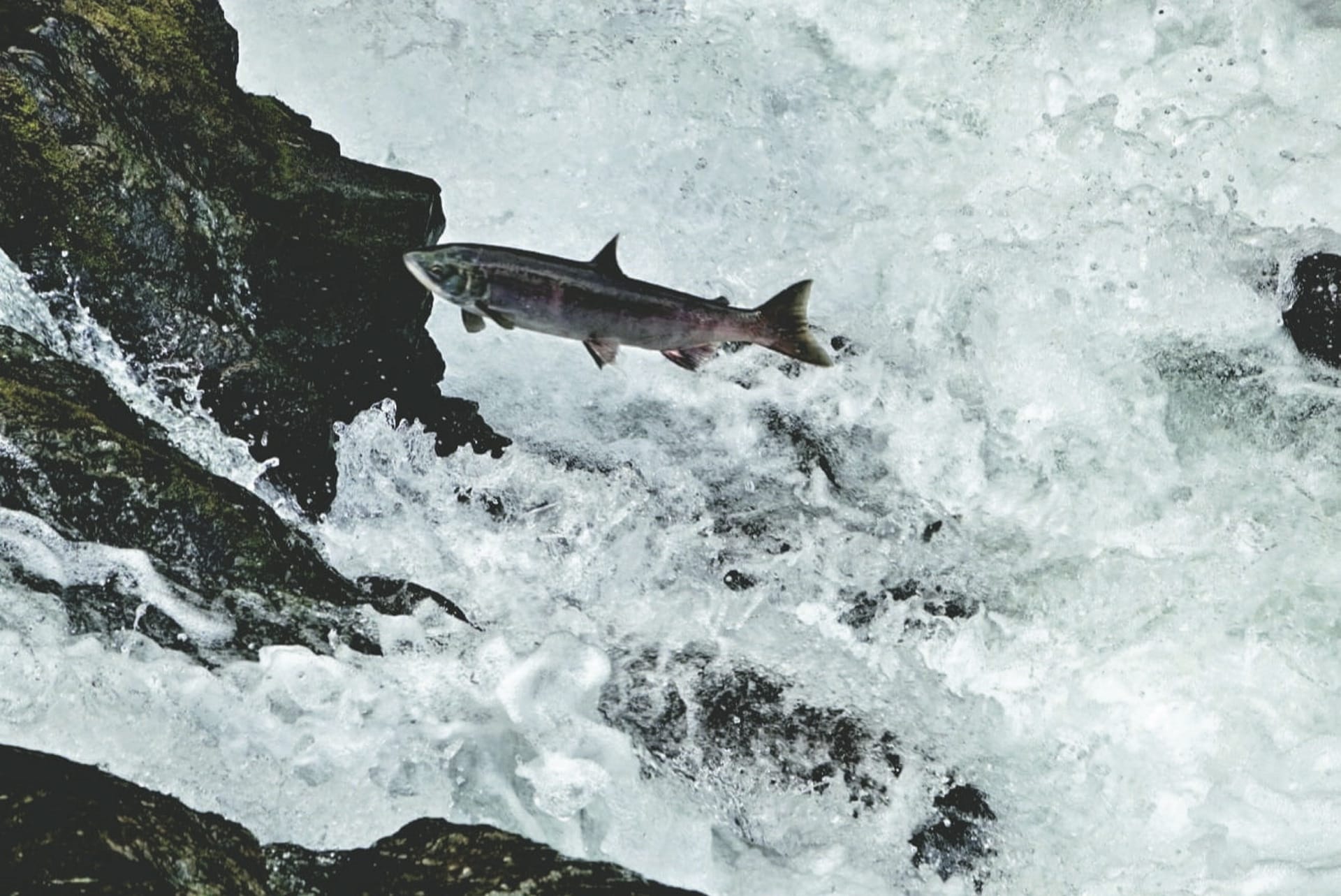 USA_AK_20230831_JB_11