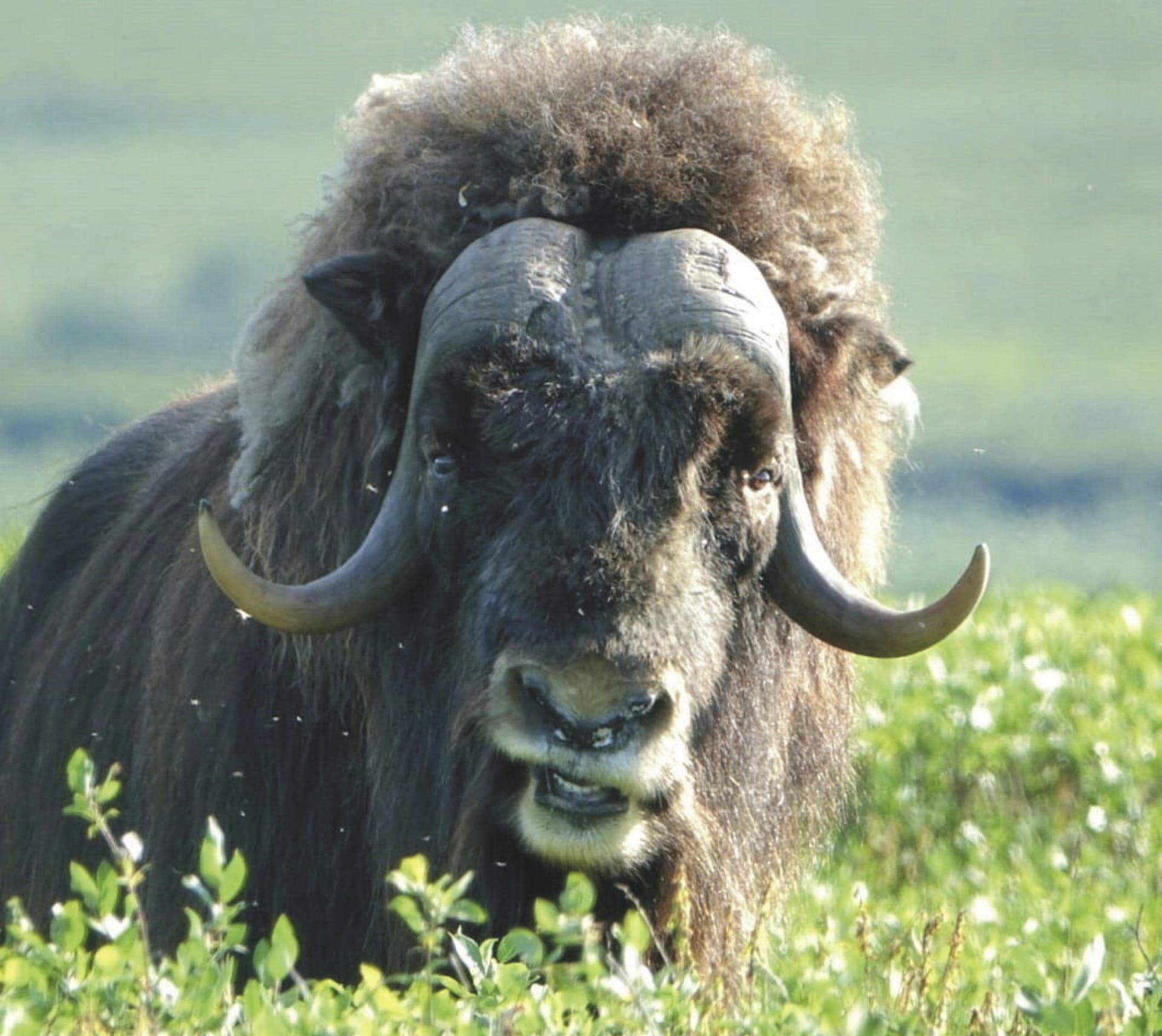 USA_AK_20230831_JB_7