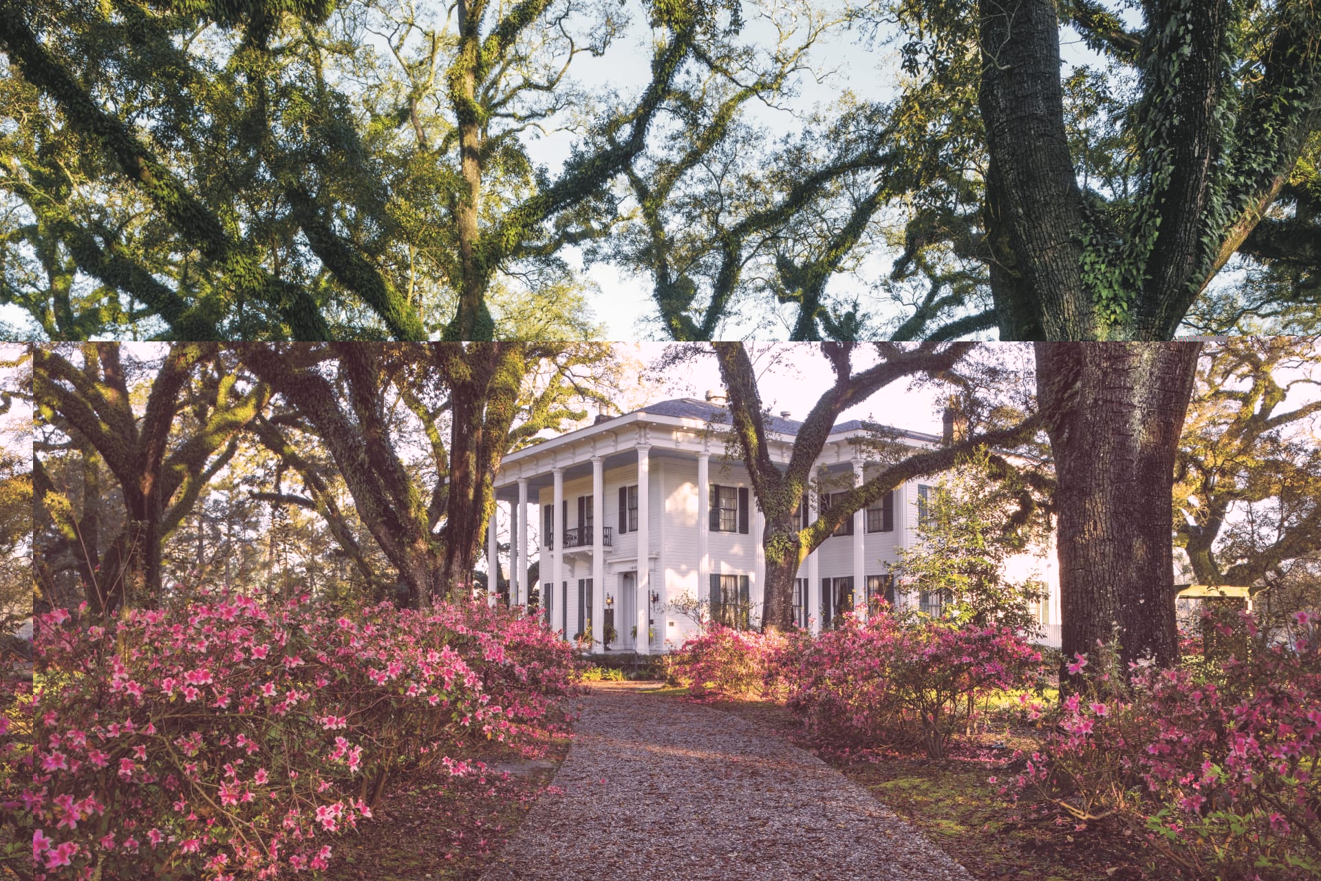 USA_AL_20211130_BM_2