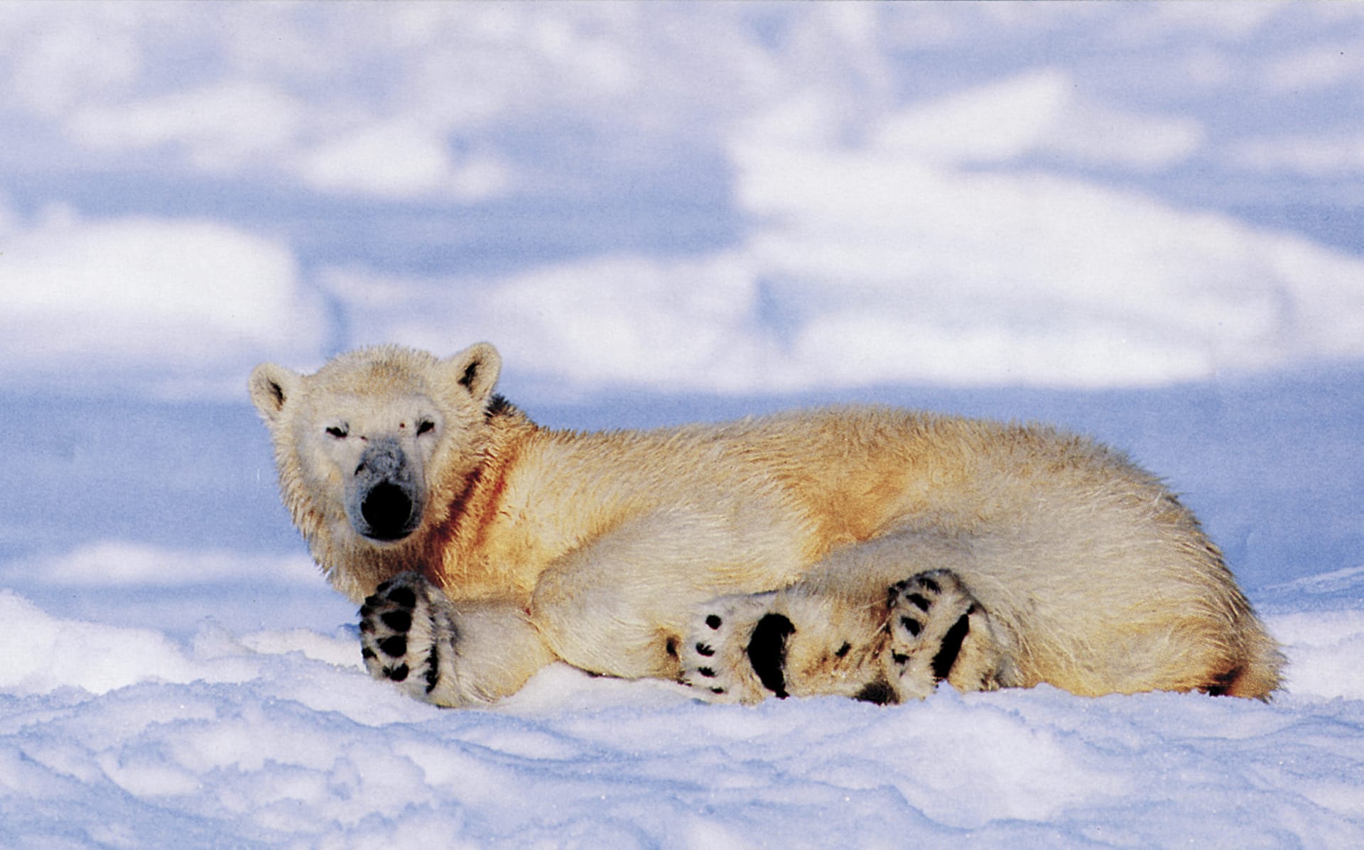 USA_CA_008_20070501_KA