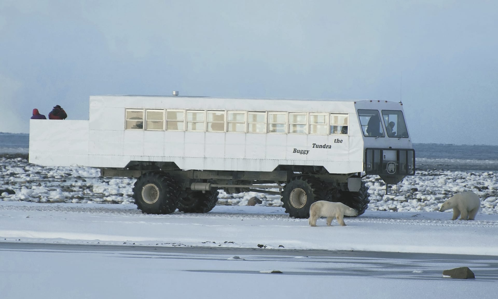 USA_CA_018_20160826_KA