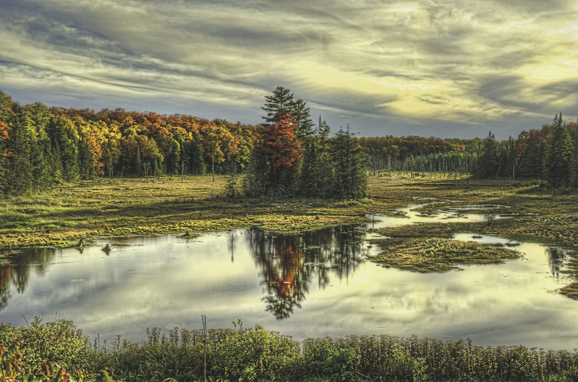 USA_CA_050_20170710_KA