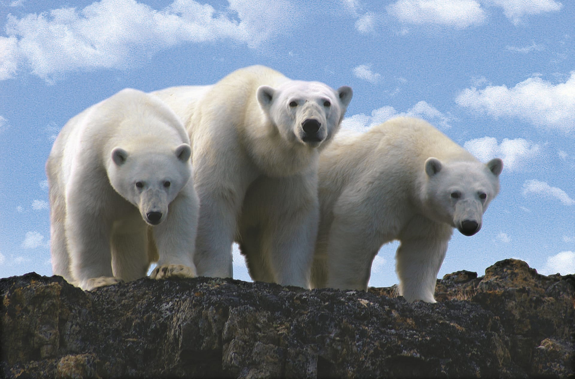 USA_CA_051_20070507_KA