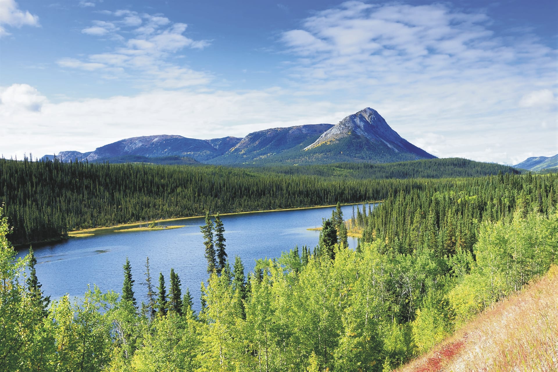 USA_CA_084_20170710_KA