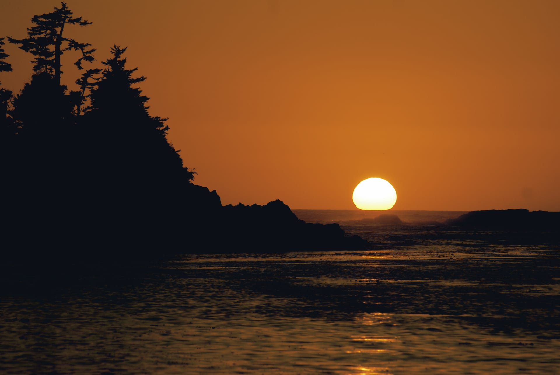 USA_CA_216_20111108_KA