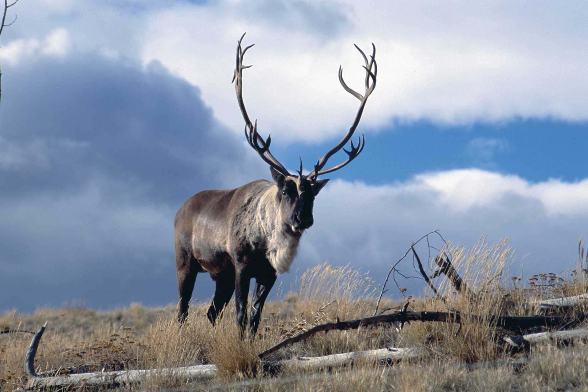 USA_CA_382_20140331_KA