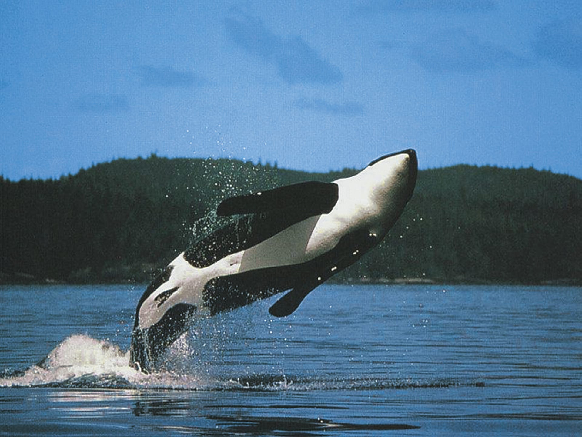 USA_CA_914_20100922_KA