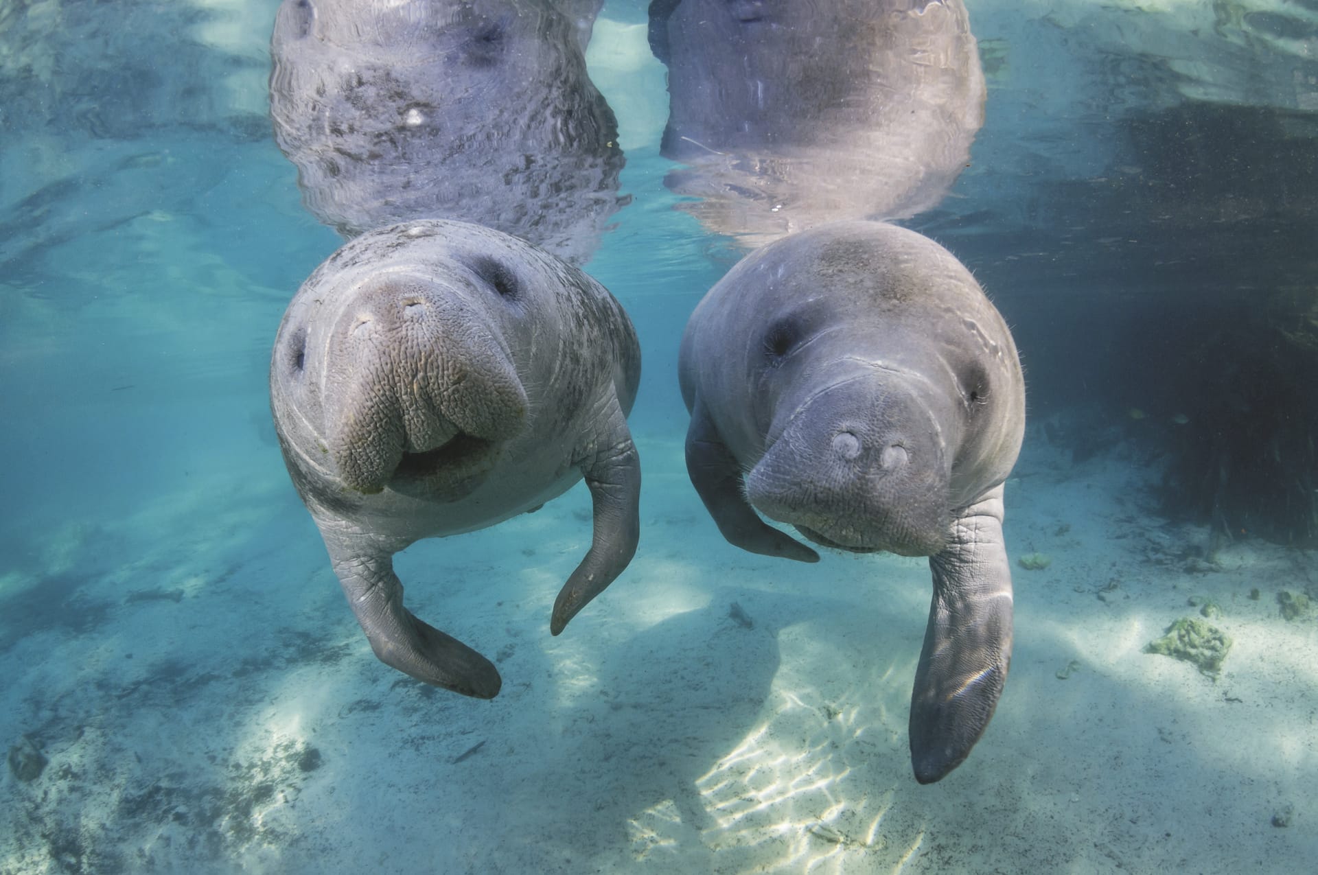 USA_FL_20211130_BM_4