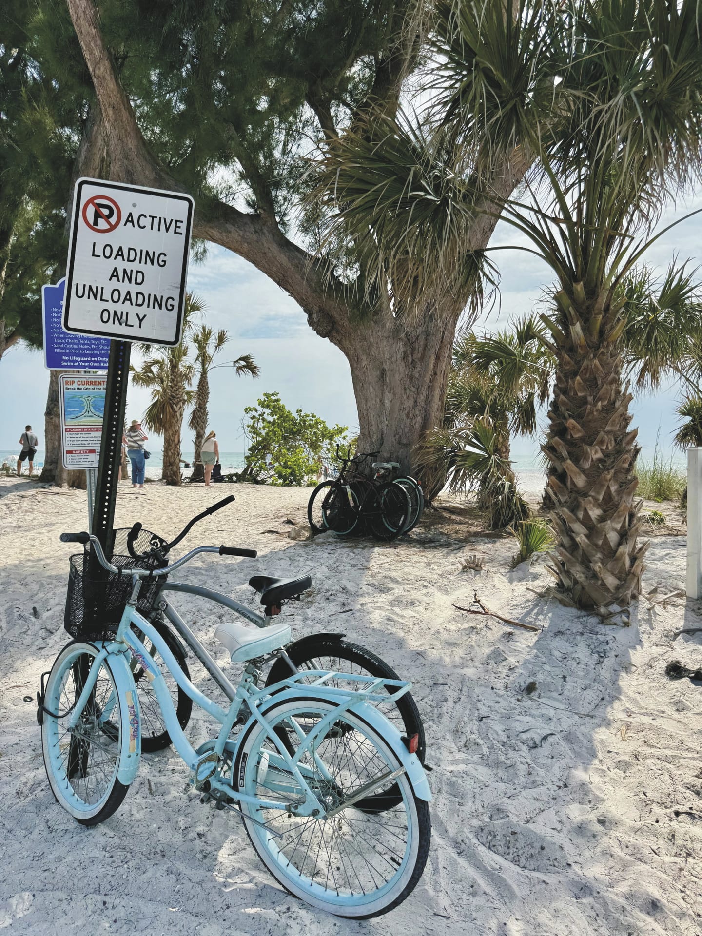 USA_FL_20250520_JB_5