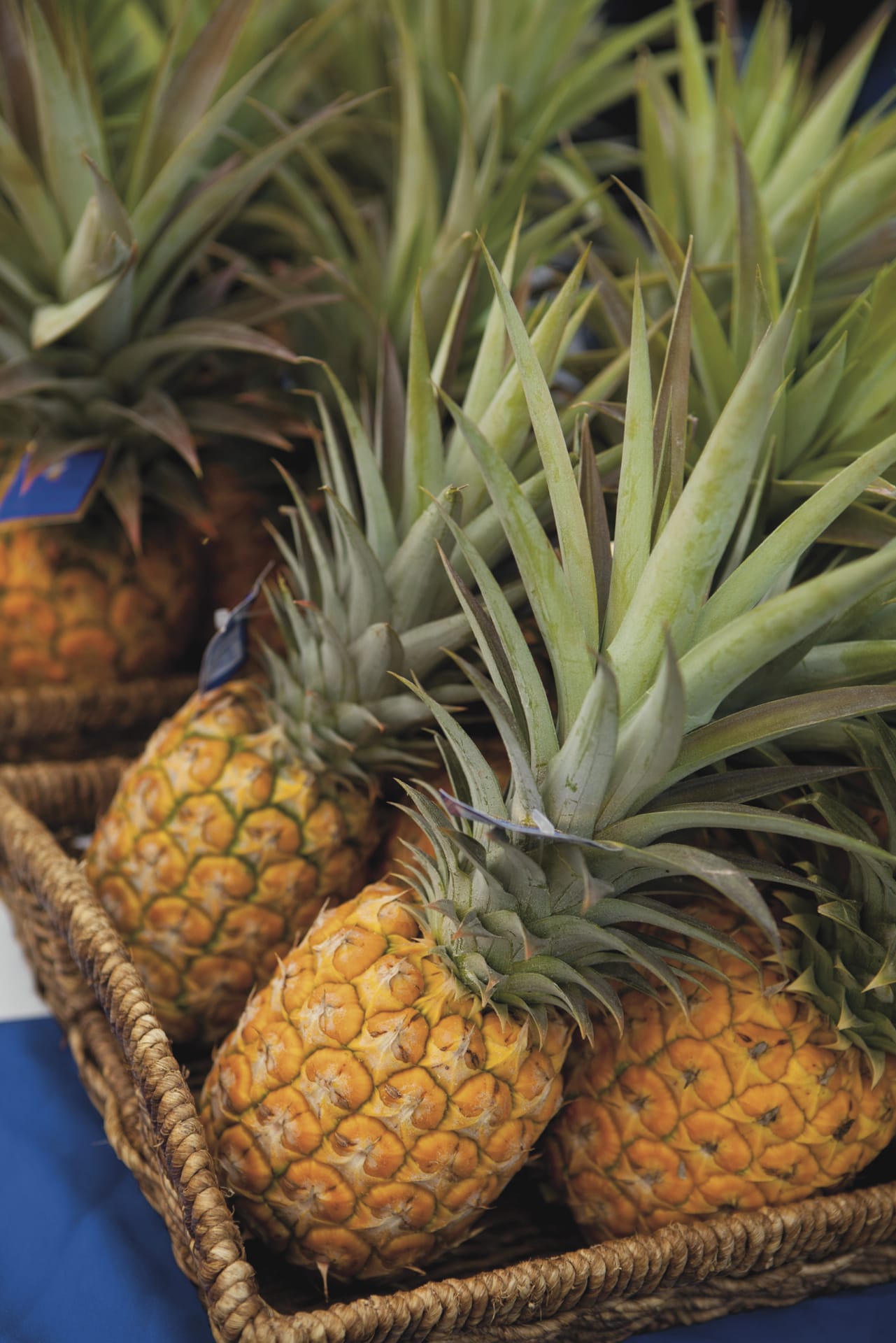 USA_HA_146_20150119_ss