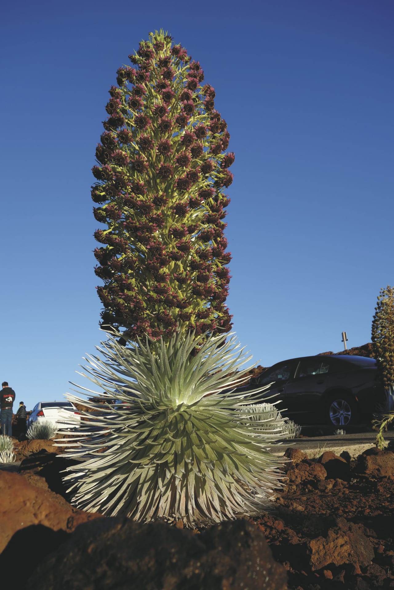 USA_HI_20190823_JB_4