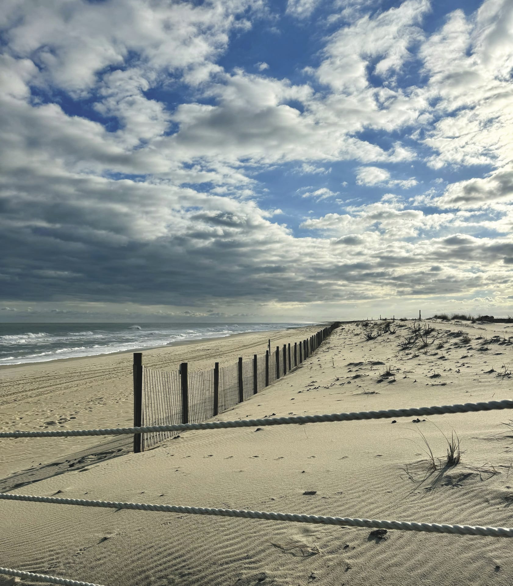 USA_NJ_20250327_JB_4