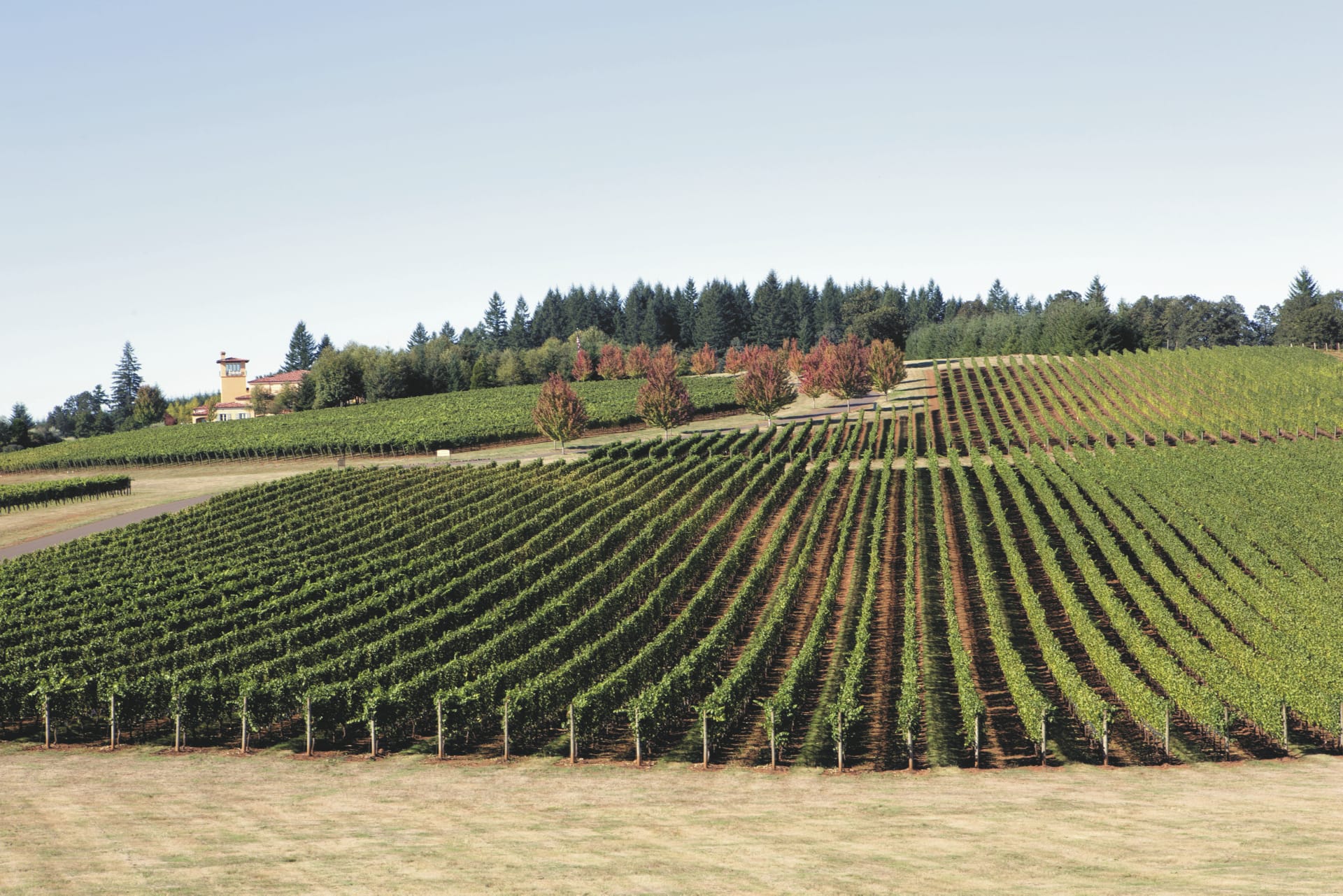 USA_OR_20180913_BM_7