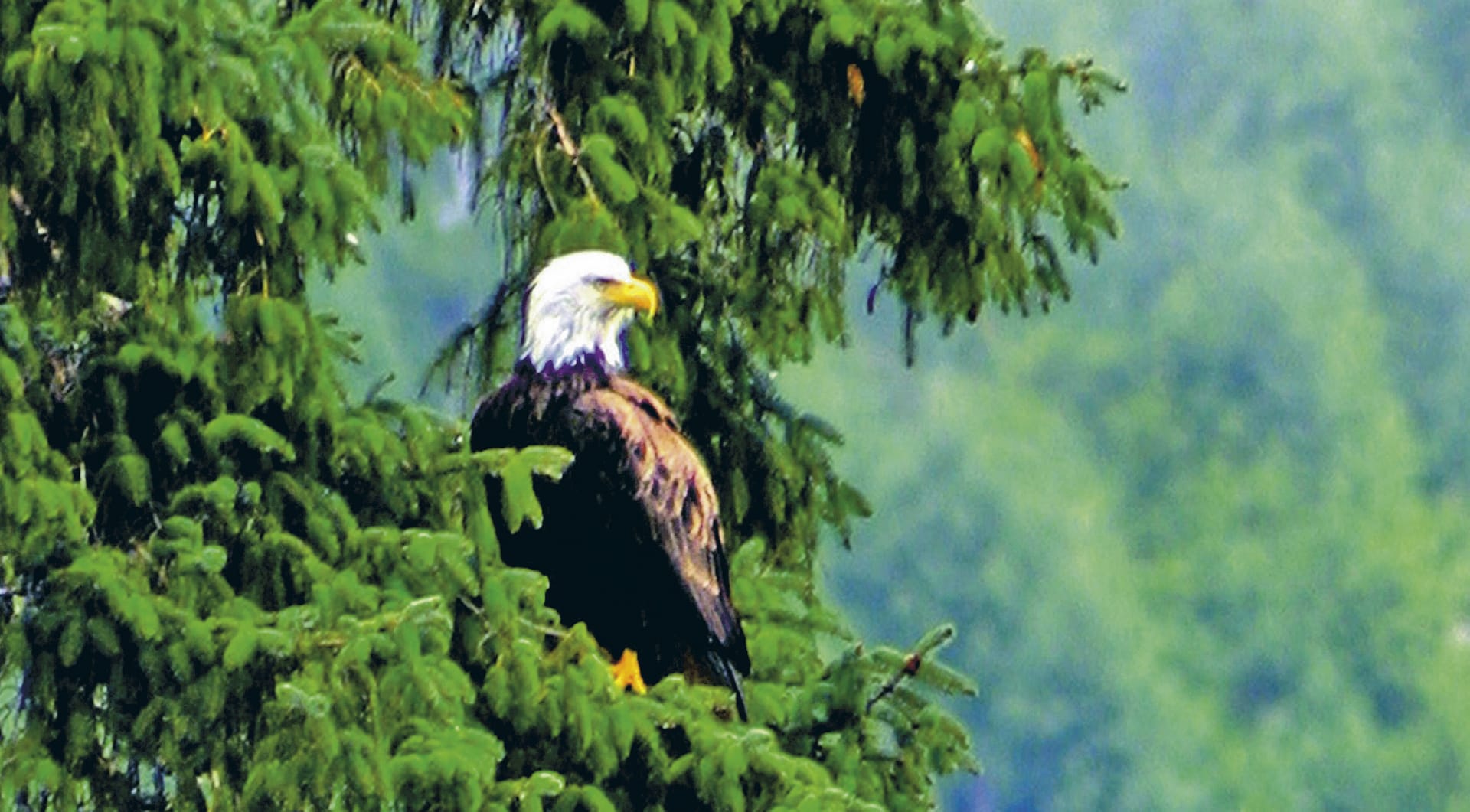 USA_US_005_20140909_KA