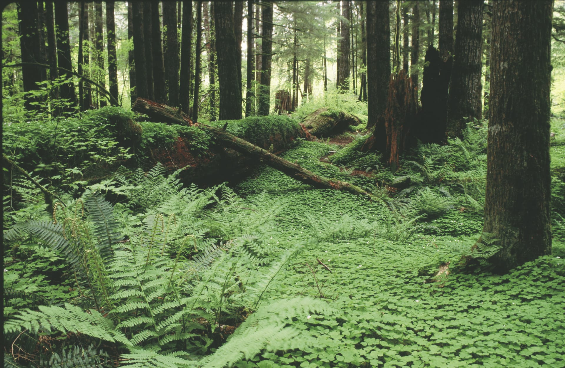 USA_US_015_20160811_KA