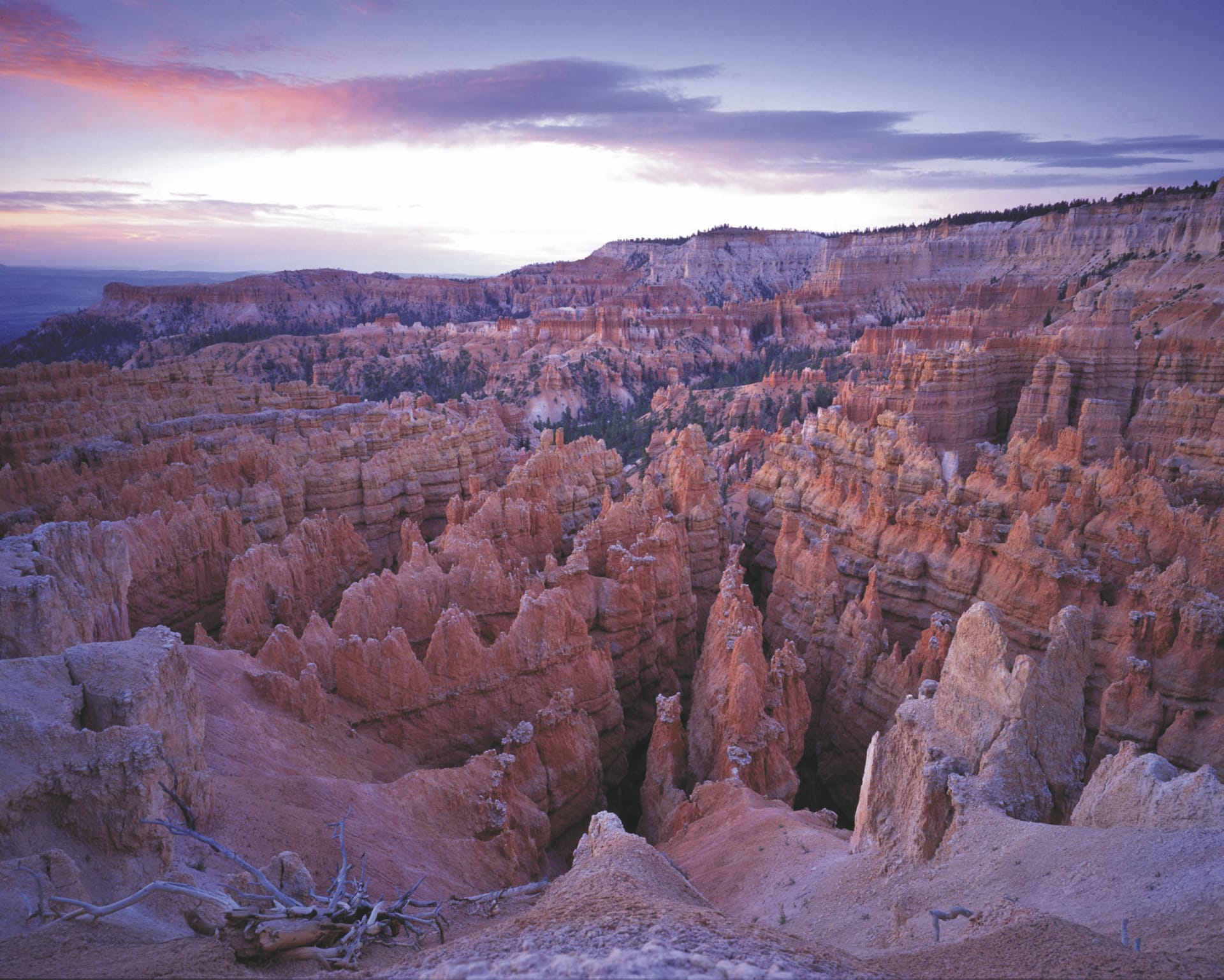 USA_US_142_20150812_KA