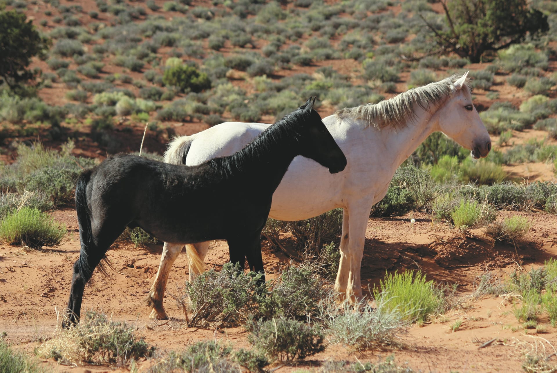 USA_US_717_20150727_KA