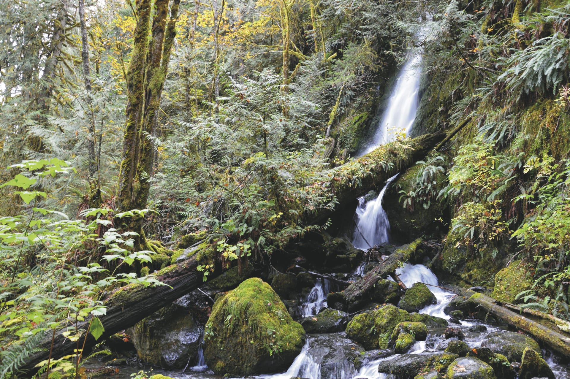 USA_WA_20200403_MP_3