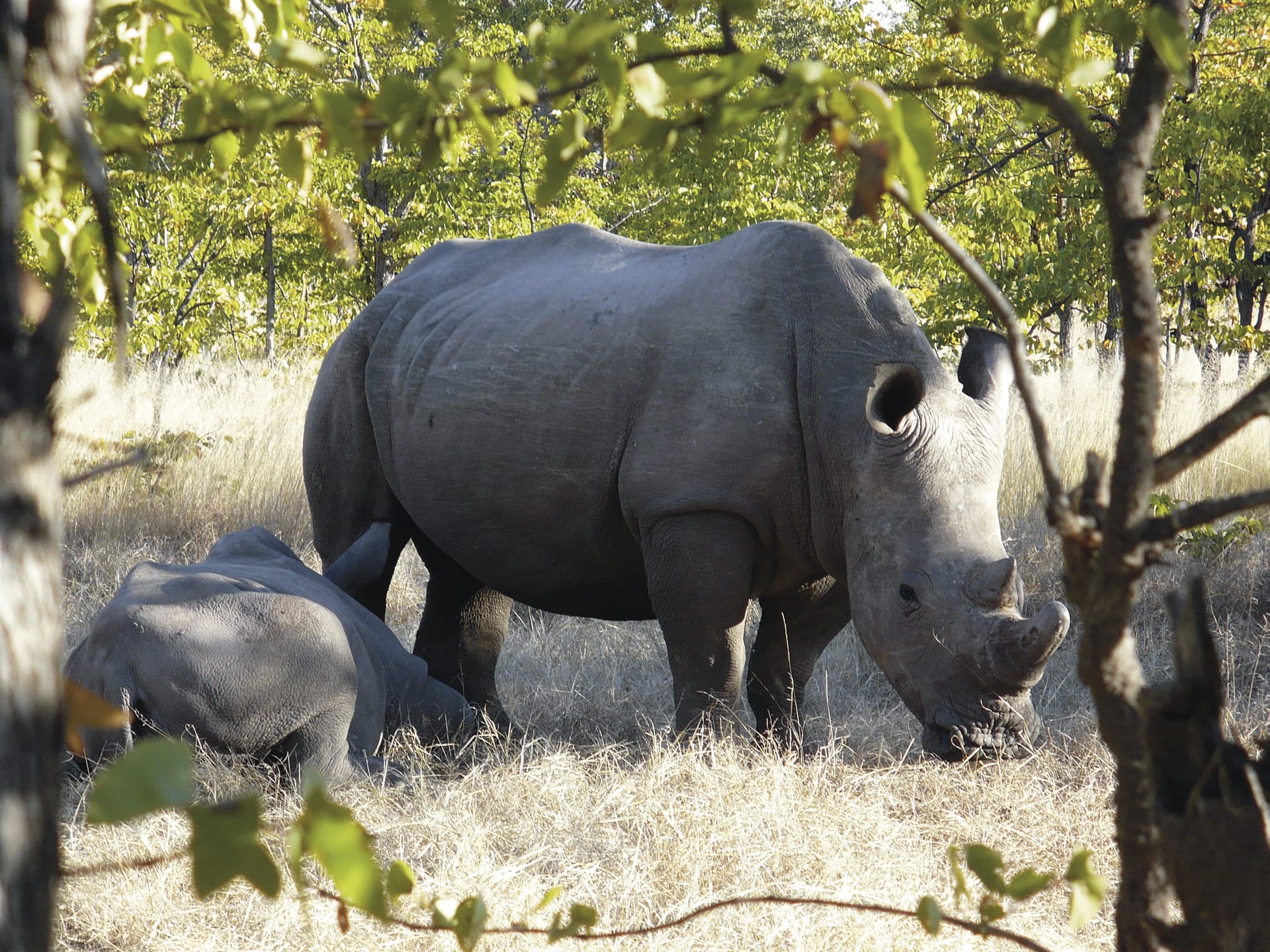 ZAM_REG_1082_20120726_AD