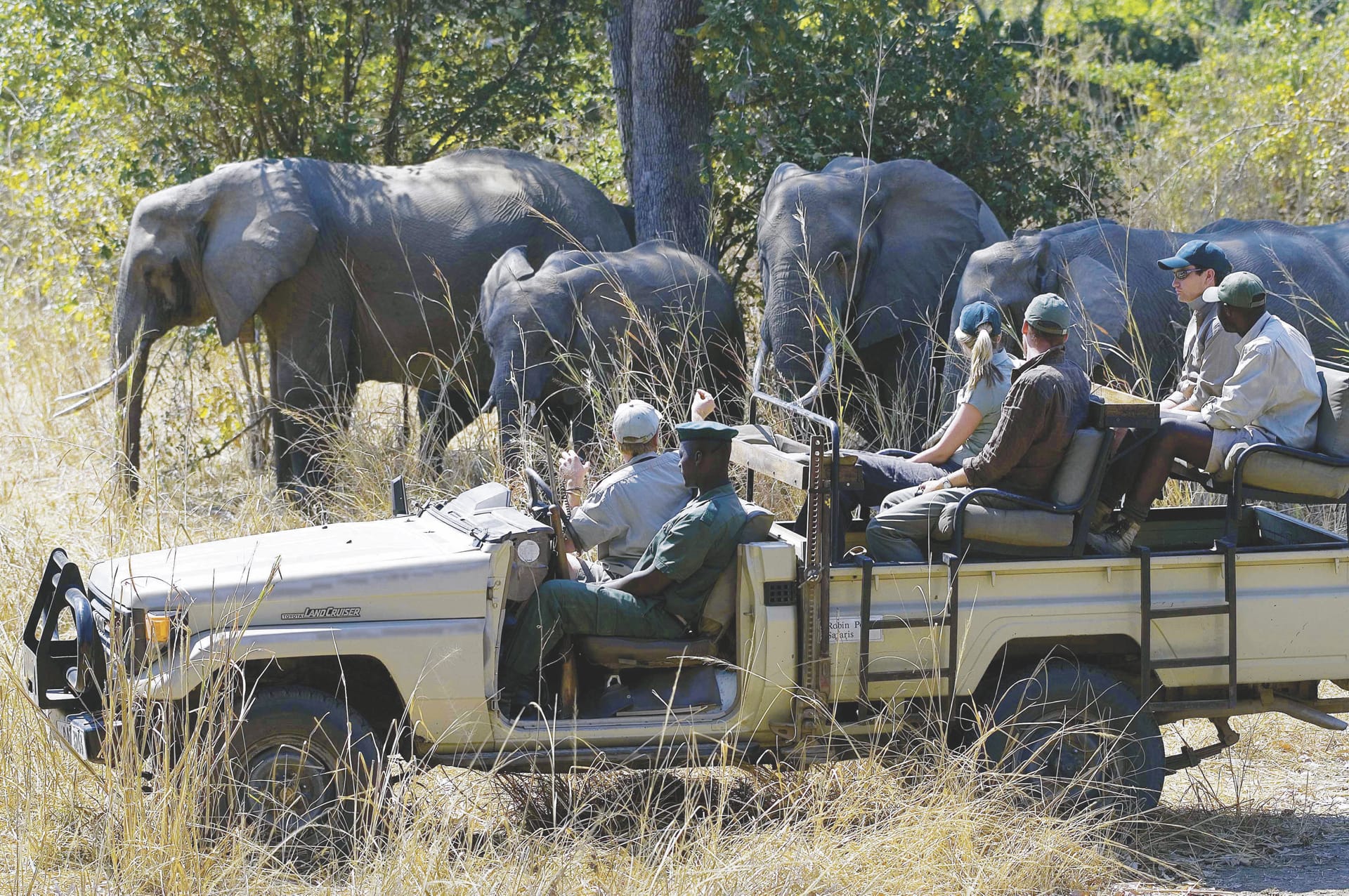 ZAM_REG_170_20070917_MM