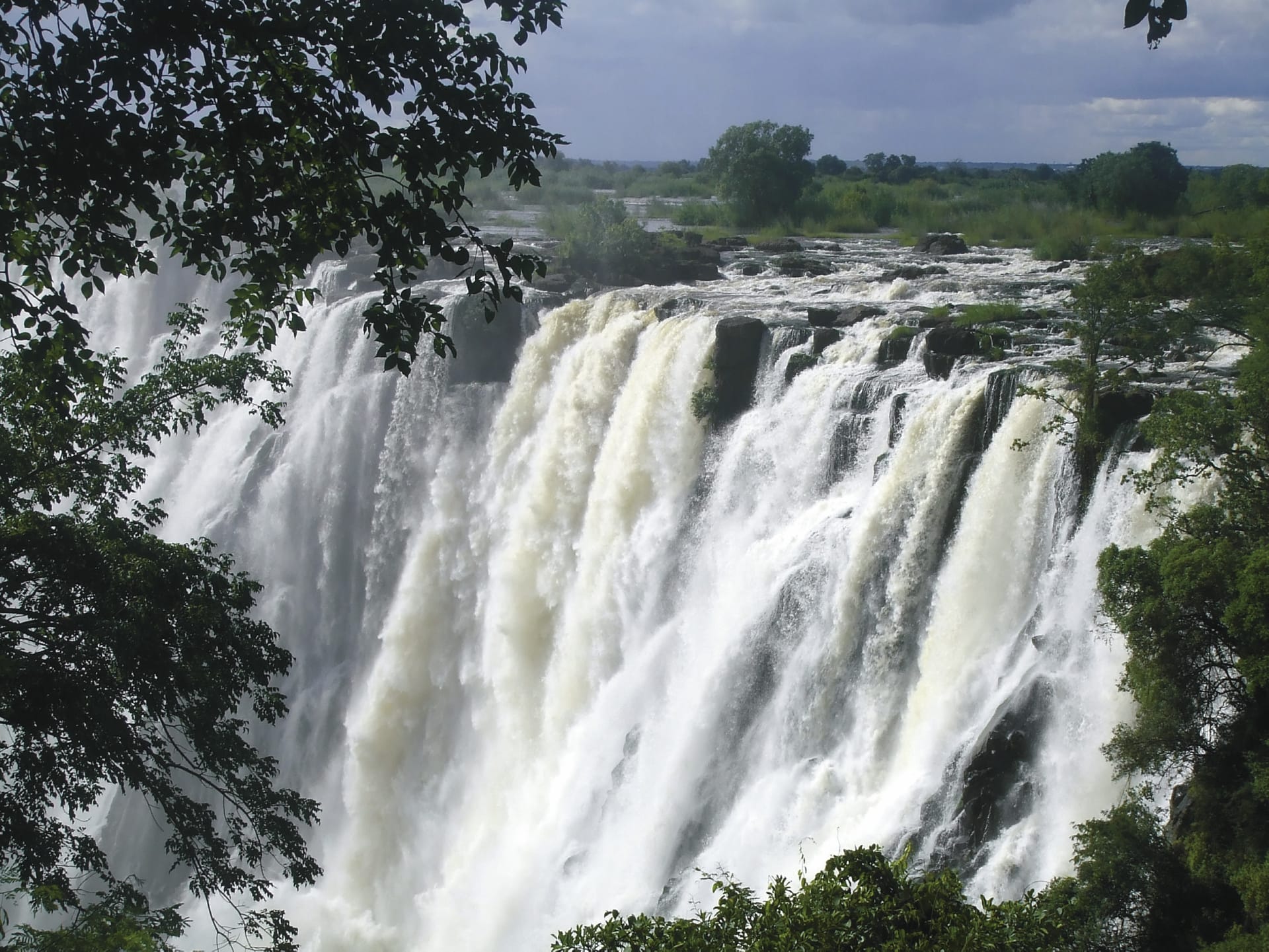 ZIM_REG_045_20100601_SS