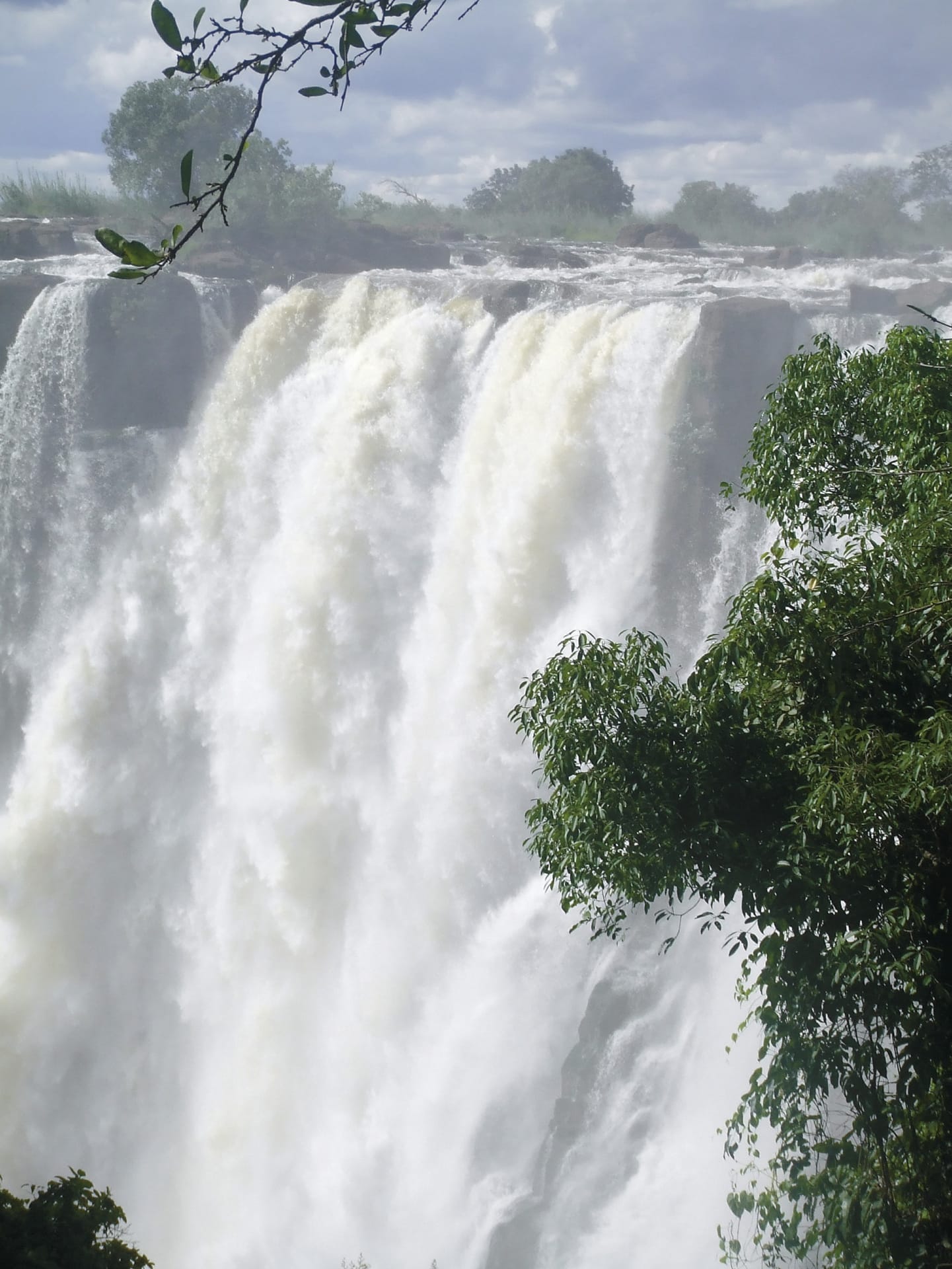 ZIM_REG_046_20100601_SS