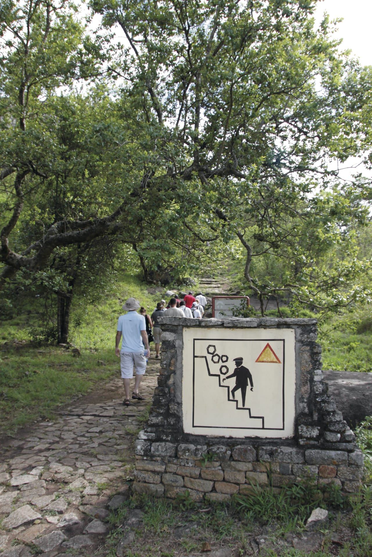 ZIM_REG_1371_20121127_AD